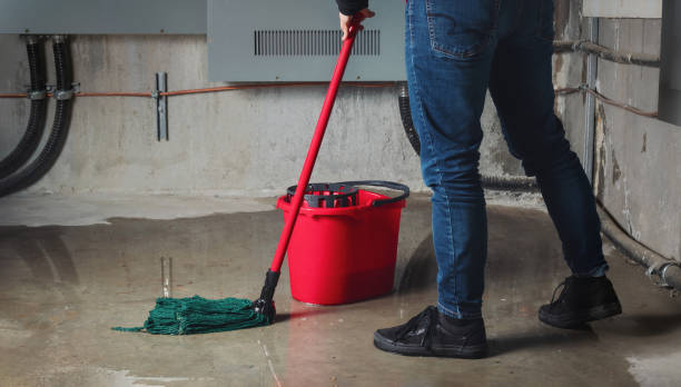 Best Ceiling water damage repair  in Metter, GA